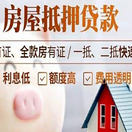 湾岭镇贷款助贷公司新渝启服成立时间久